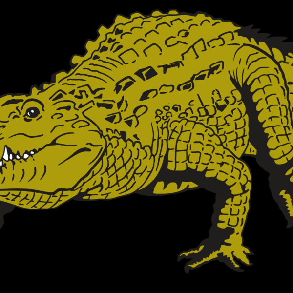 AR GATOR 13 RQC Thumbnail