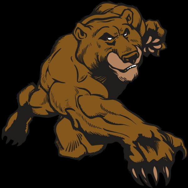 AR BEAR 29 RC Thumbnail