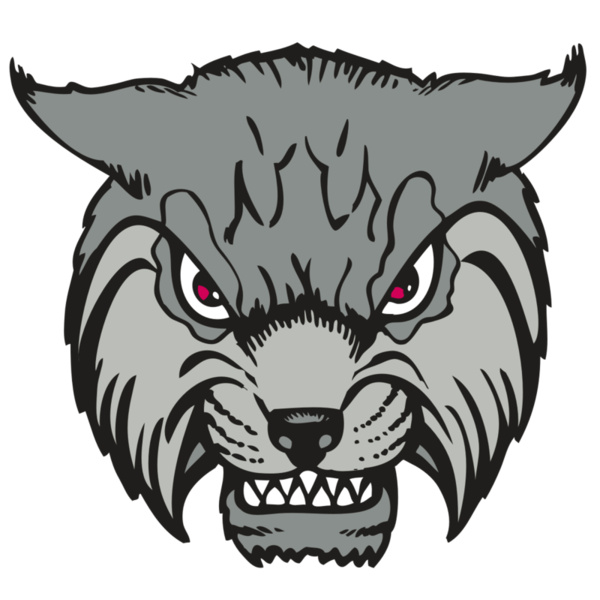 BAW BOBCAT 02 RC Thumbnail