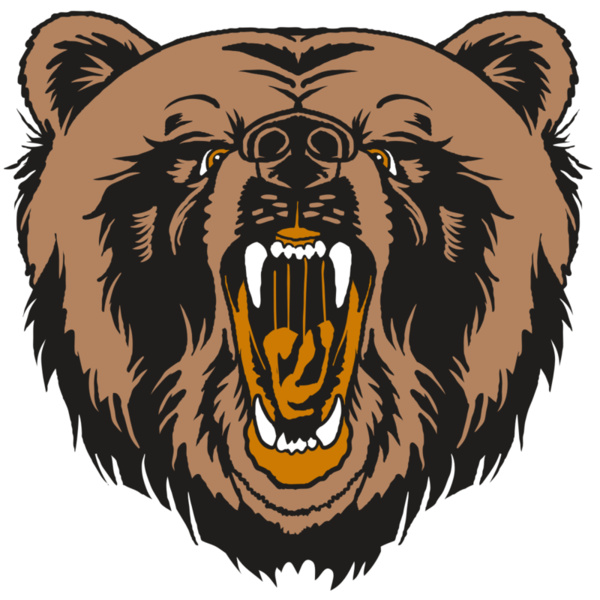 AR31 BEAR 01 RQC Thumbnail