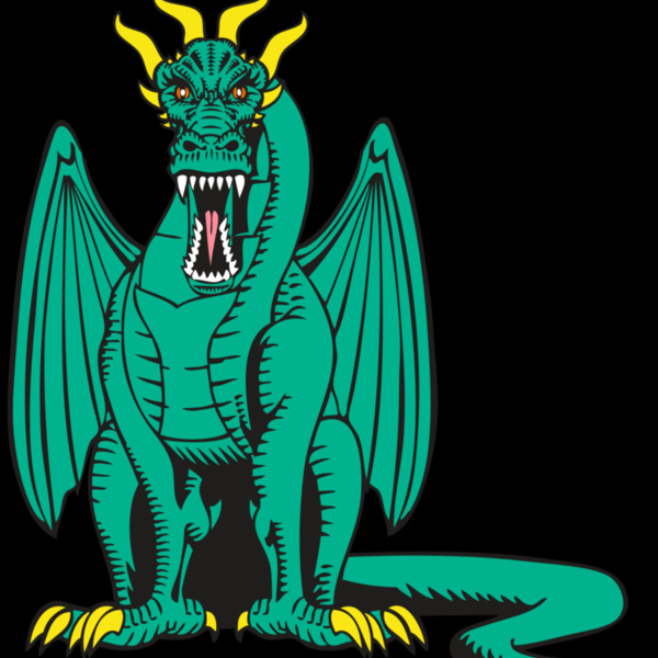 BAW DRAGON 10 RC Thumbnail