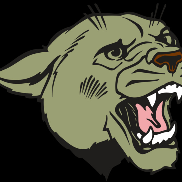 AR COUGAR 40 RC Thumbnail