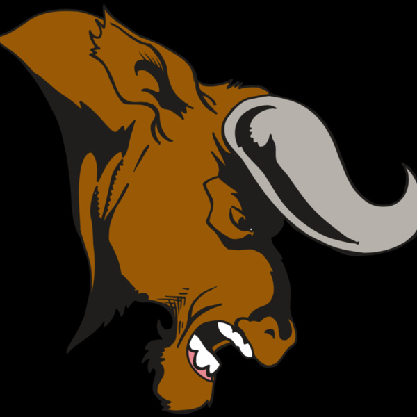 AR5 BULL 07 RQC Thumbnail