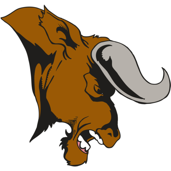 AR5 BULL 07 RQC Thumbnail