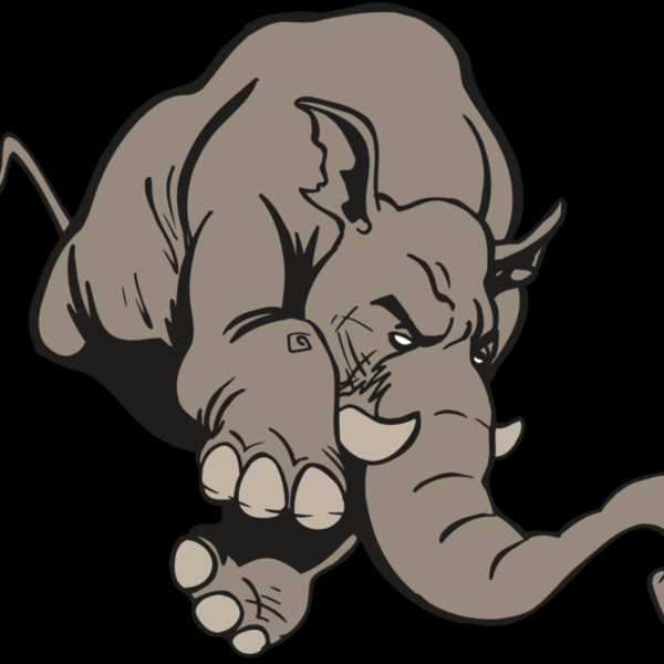 AR5 Elephant 17 RQC Thumbnail