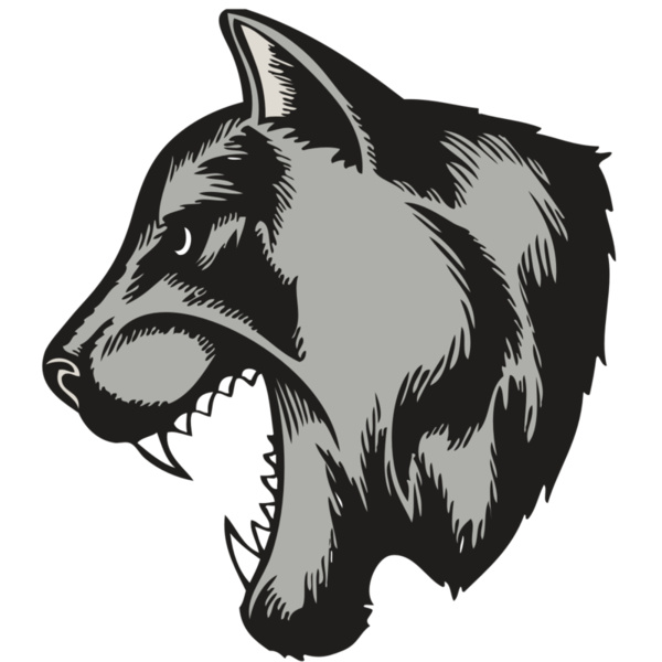 BAW COUG PANTH 06 RC Thumbnail