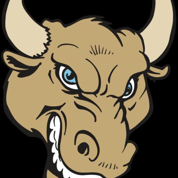 AR5 BULL 13 RQC Thumbnail