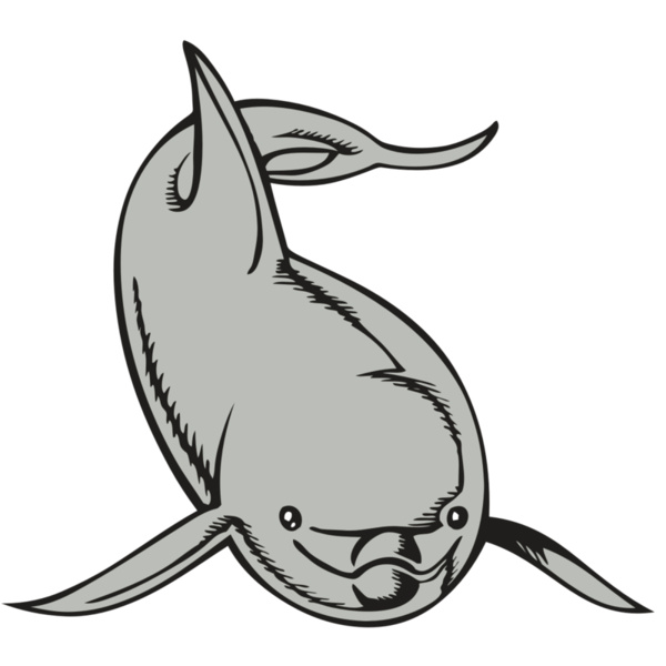 BAW DOLPHIN 02 RC Thumbnail