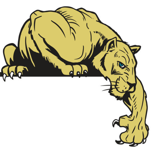 AR10 PANTHER 06 RQC Thumbnail