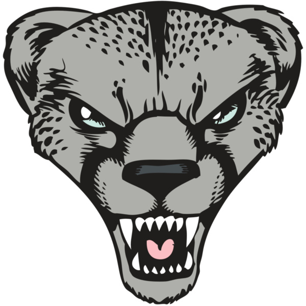 BAW CHEETAH 15 RC Thumbnail