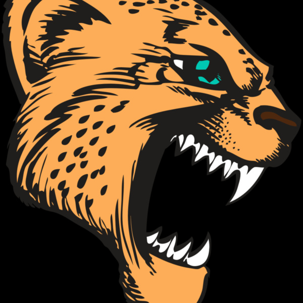 BAW CHEETAH 11 RC Thumbnail