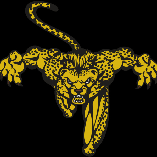 BAW CHEETAH 08 RC Thumbnail