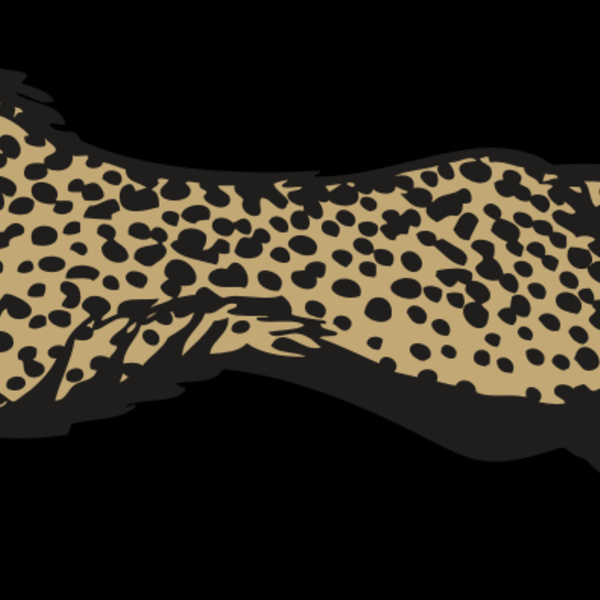 BAW CHEETAH 01 RC Thumbnail