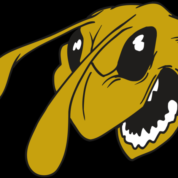 AR5 BEE 26 RQC Thumbnail