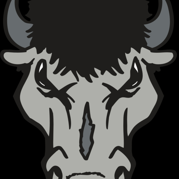 AR BUFFALO 15 RC Thumbnail