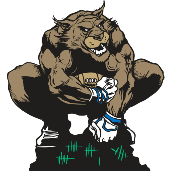 AR WILDCAT 34 RC Thumbnail