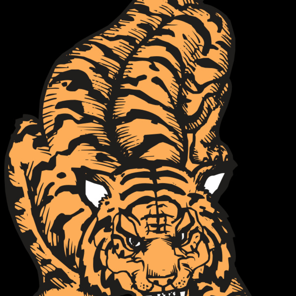 BAW TIGER 01 RC Thumbnail