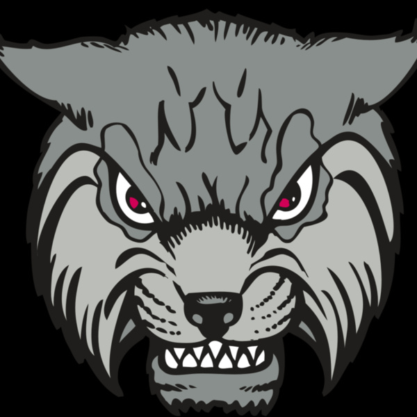 BAW BOBCAT 02 RC Thumbnail