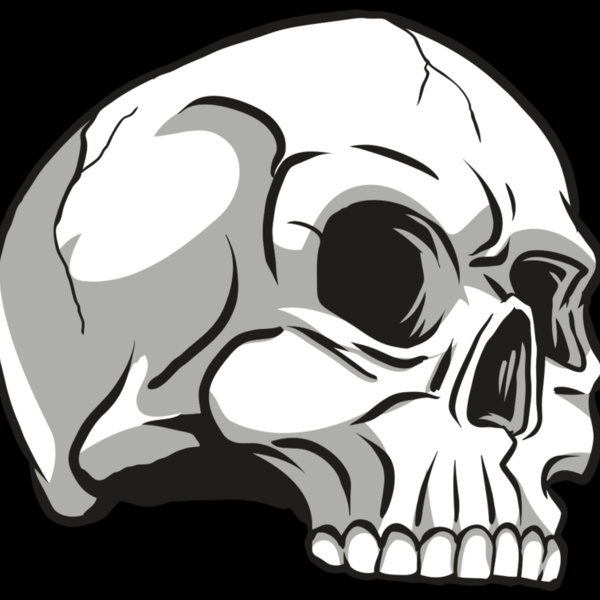 AR24 SKULL 10 RQC Thumbnail