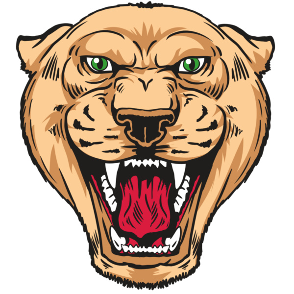 AR13 PNTHR 01 RQC Thumbnail