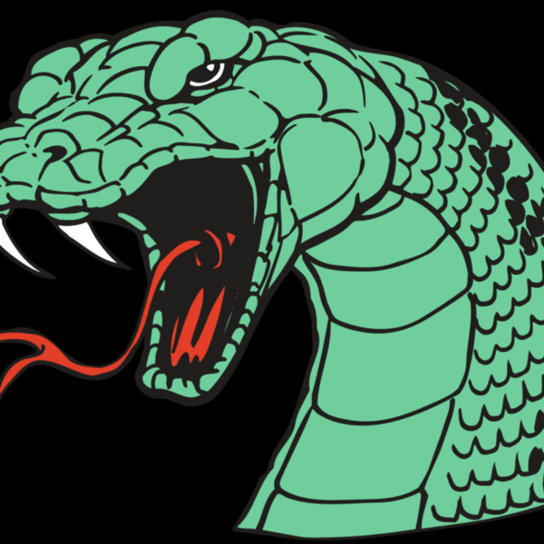 AR SNAKE 10 RC Thumbnail
