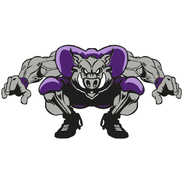 AR RAZORBACK 28 RC Thumbnail