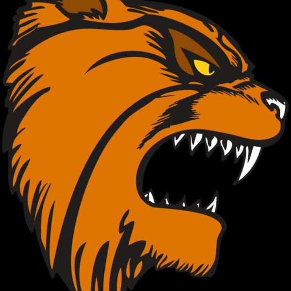 BAW WILDCAT 08 RC Thumbnail