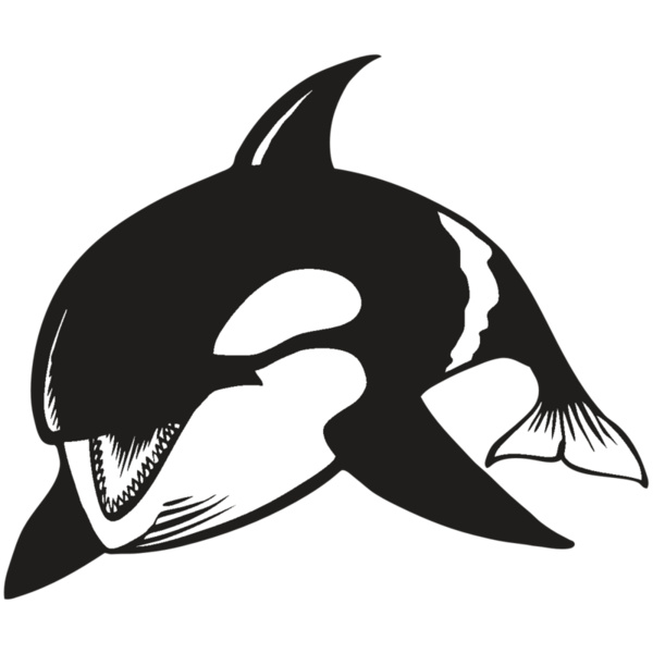 BAW KLRWHALE 04 RC Thumbnail