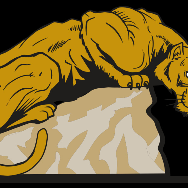 AR10 PANTHER 01 RQC Thumbnail