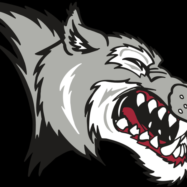 AR WOLF 15 RC Thumbnail