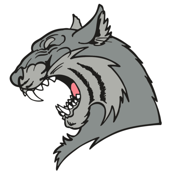 AR WILDCAT 41 RC Thumbnail