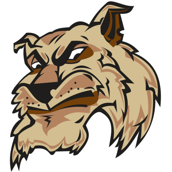 WILDCAT HD0501 RQC Thumbnail