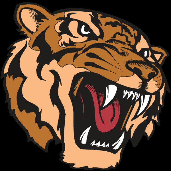 BAW TIGER 07 RC Thumbnail