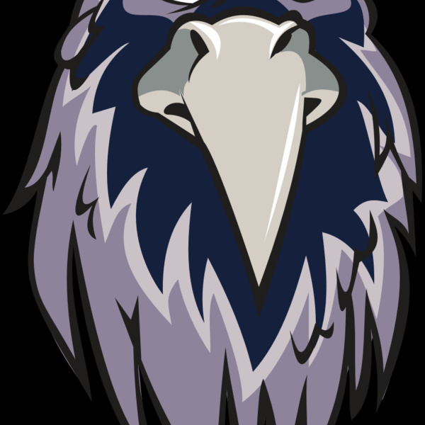 RAVEN HD0502 RQC Thumbnail