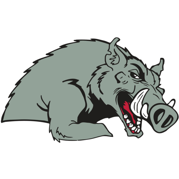 AR RAZORBACK 14 RC Thumbnail