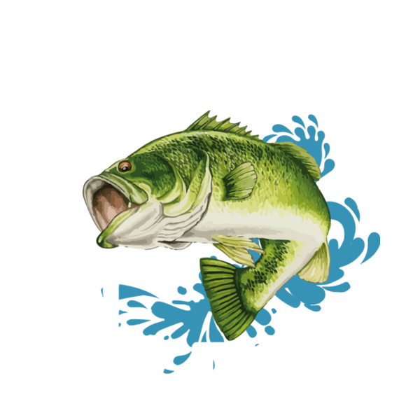 I love a large mouth on my rod Thumbnail